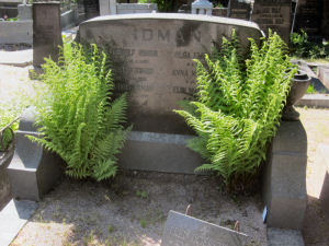 Viimeinen leposija - Gustaf Rudolf Idman 