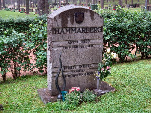 Viimeinen leposija - Antti Yrj� Hammarberg