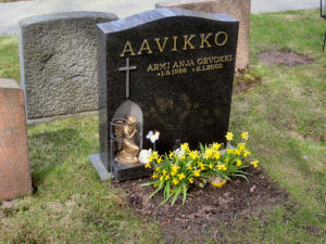 Viimeinen leposija - Armi Anja Orvokki Aavikko