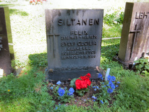 Viimeinen leposija - Sylvi Cecilia Siltanen 