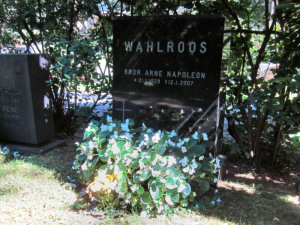 Viimeinen leposija - Bror Arne Napoleon (