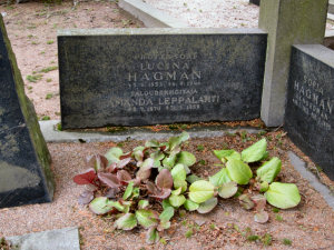 Viimeinen leposija - Lucina Hagman 