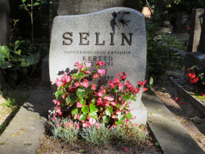 Viimeinen leposija - Kerttu Selin 