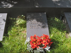 Viimeinen leposija - Viljo Fritjof Salminen