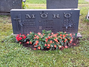 Viimeinen leposija - Arvo M�r�