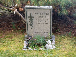 Viimeinen leposija - Antti Vallebro