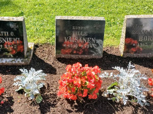 Viimeinen leposija - Ville V�is�nen