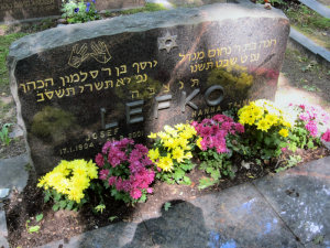 Viimeinen leposija - Hanna Taini 