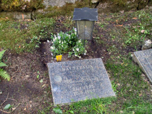 Viimeinen leposija - Tommi Jalmari Rinne 